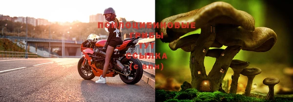 скорость Алексин